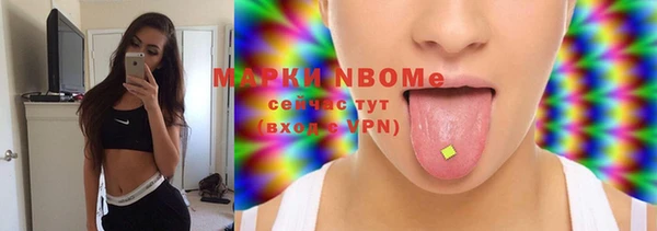 шишки Алзамай