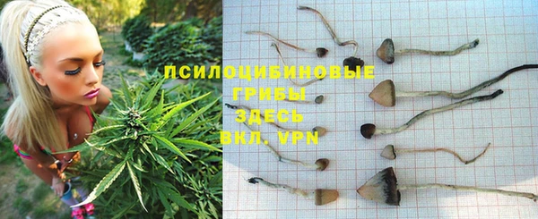 каннабис Алексин