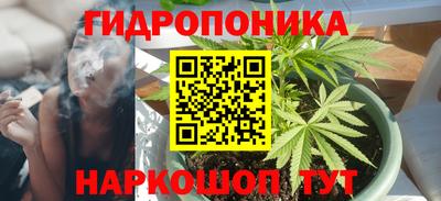 мдпв Шелехов