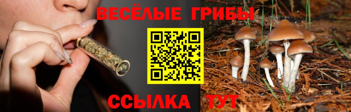 Псилоцибиновые грибы MAGIC MUSHROOMS Салават